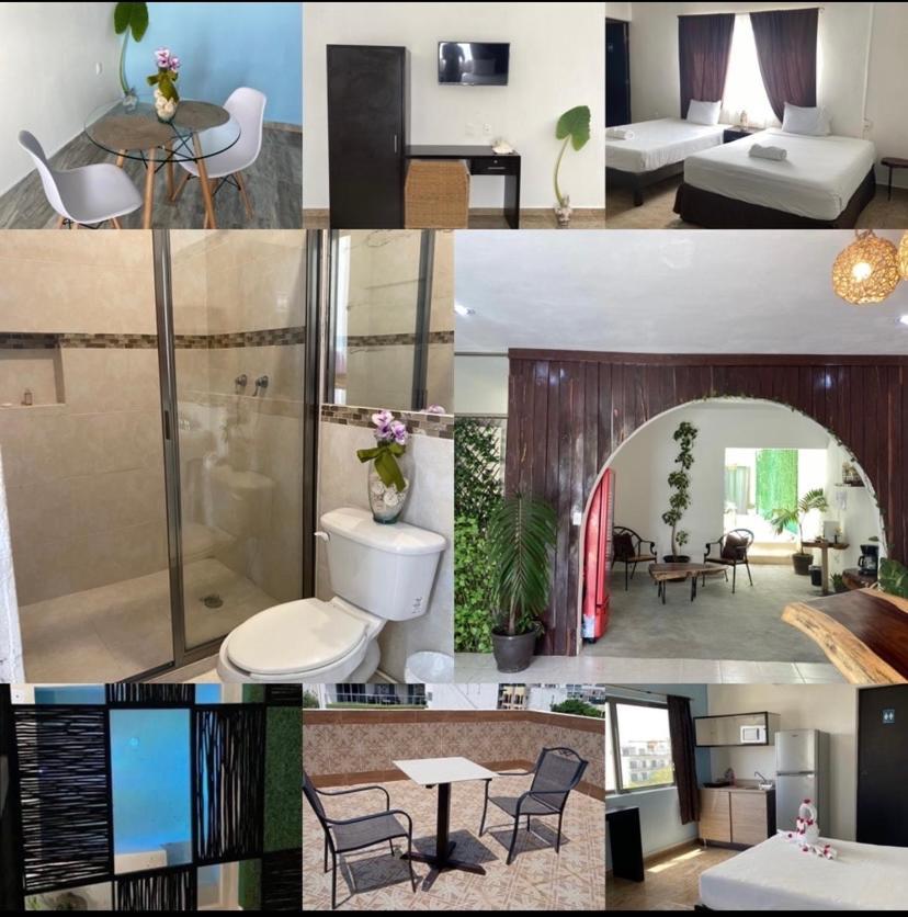 普拉亚卡门 Ocean Front Boutique酒店 外观 照片